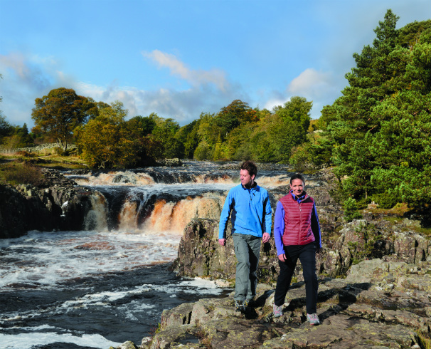 Low Force